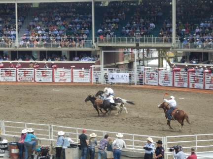 At the Rodeo